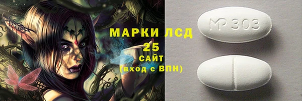 гашик Алексин