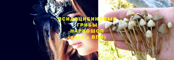 дурь Алексеевка