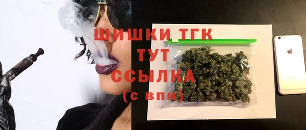 гашик Алексин