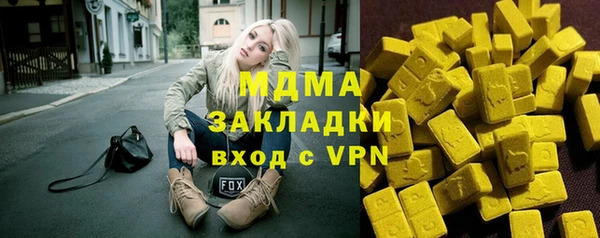 гашик Алексин